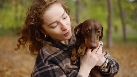 mujer rizada sostiene un elegante dachshund y besándose. retrato al aire libre de otoño dorado