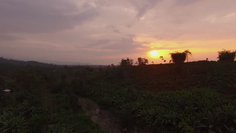 Aufsteigende-Drohne-Schoss-über-Wald-In-Ecuador