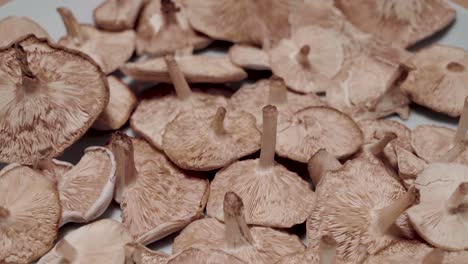 Tilt-Down-of-Wild-Mushrooms-Upside-Down-on-Plate,-Closeup