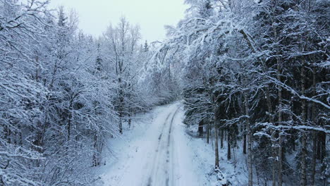 árboles-Cubiertos-De-Nieve-Blanca-En-Sus-Ramas-Con-Huellas-De-Neumáticos-En-La-Carretera-En-El-Suelo-En-Deby-Polonia