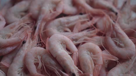 whole cooked white shrimp with shells in bowl, close up detail