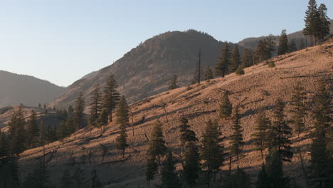 Wüstenteppich:-Schweben-Sie-über-Die-Einzigartige-Landschaft-Von-Kamloops