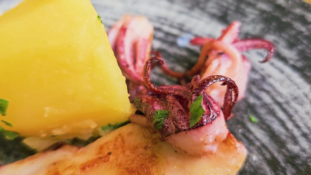 Extreme close up of grilled squid with tender tentacles, golden boiled potato, herbs, and char marks on a dark plate, gourmet calamari seafood dish at an outdoor restaurant.