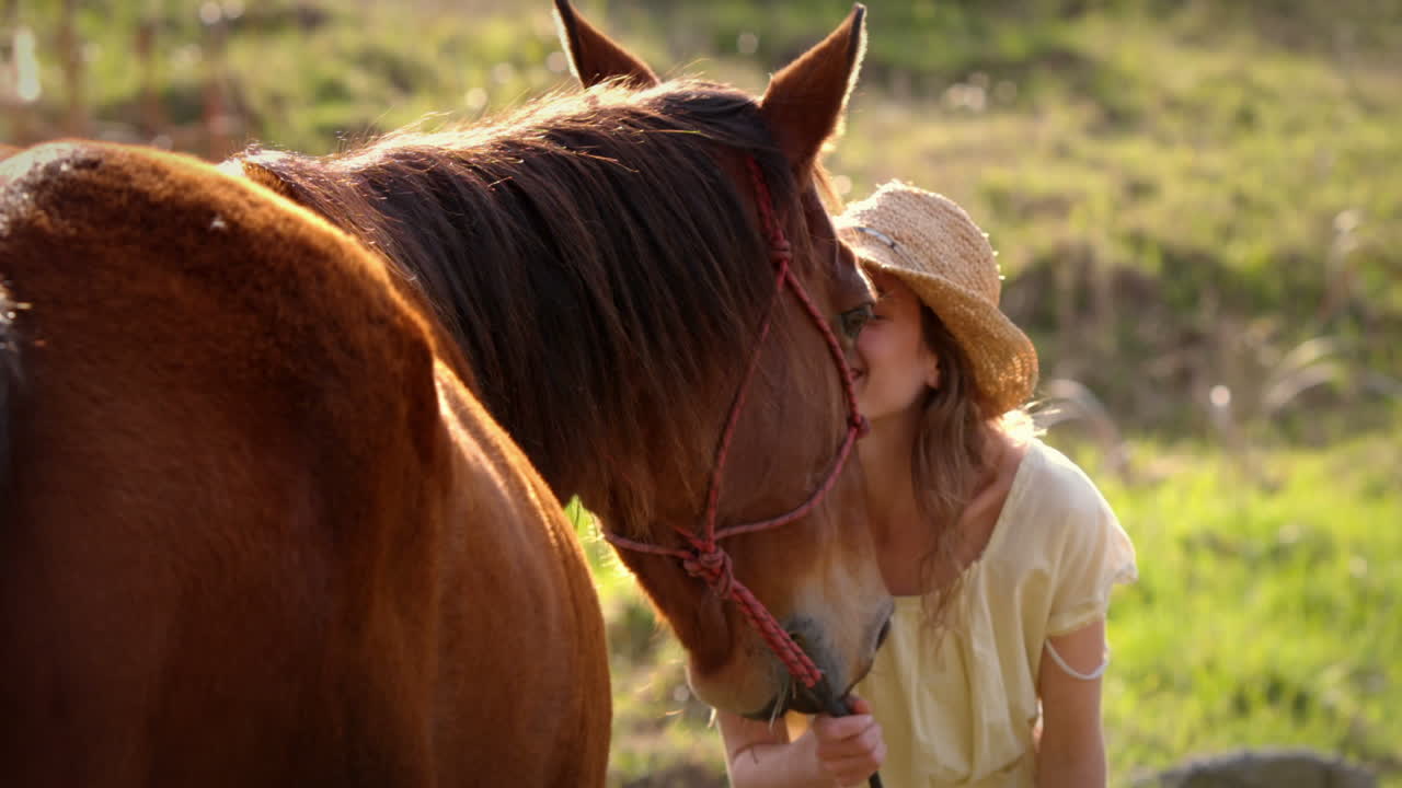 Pretty woman kissing a horse
