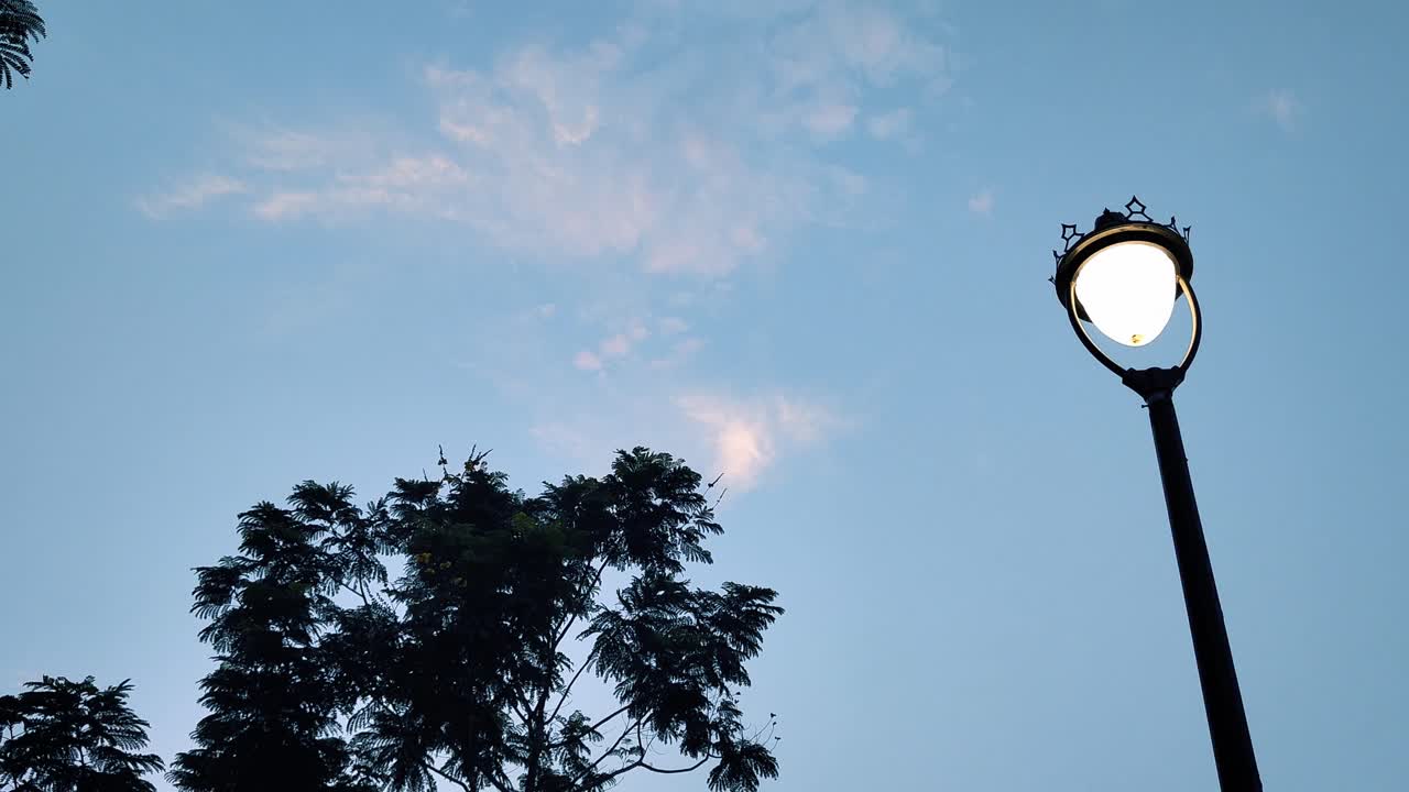 4K footage of a streetlight glowing at dusk with trees and clouds in the background. Peaceful evening urban scene with soft blue-pink sky. Ideal for city life, nature, calm or transitional scenes
