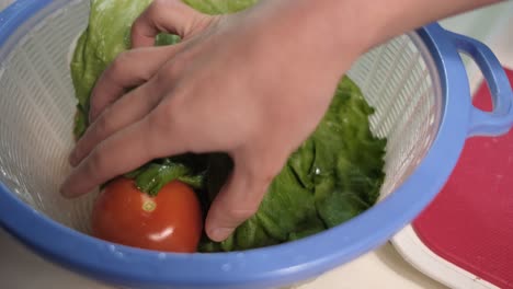 la lechuga lavando la ensalada