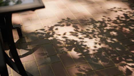 looking-down-at-the-shadow-of-leaves-blowing-in-the-wind-on-bricked-concrete