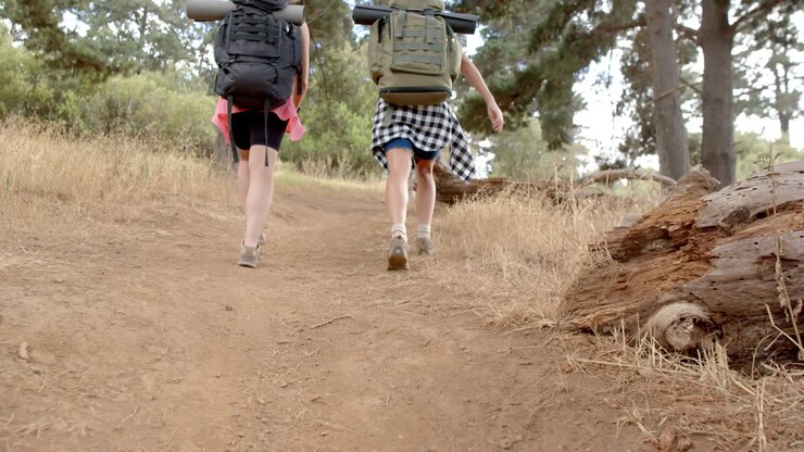 Two hikers with backpacks trek along a forest trail
