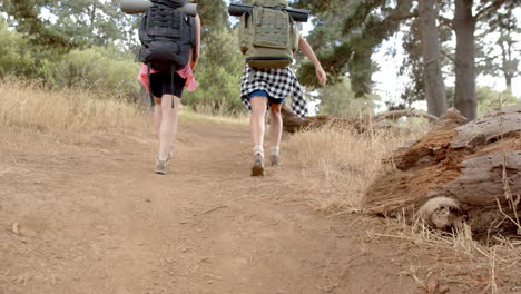 two hikers with backpacks trek along a forest trail