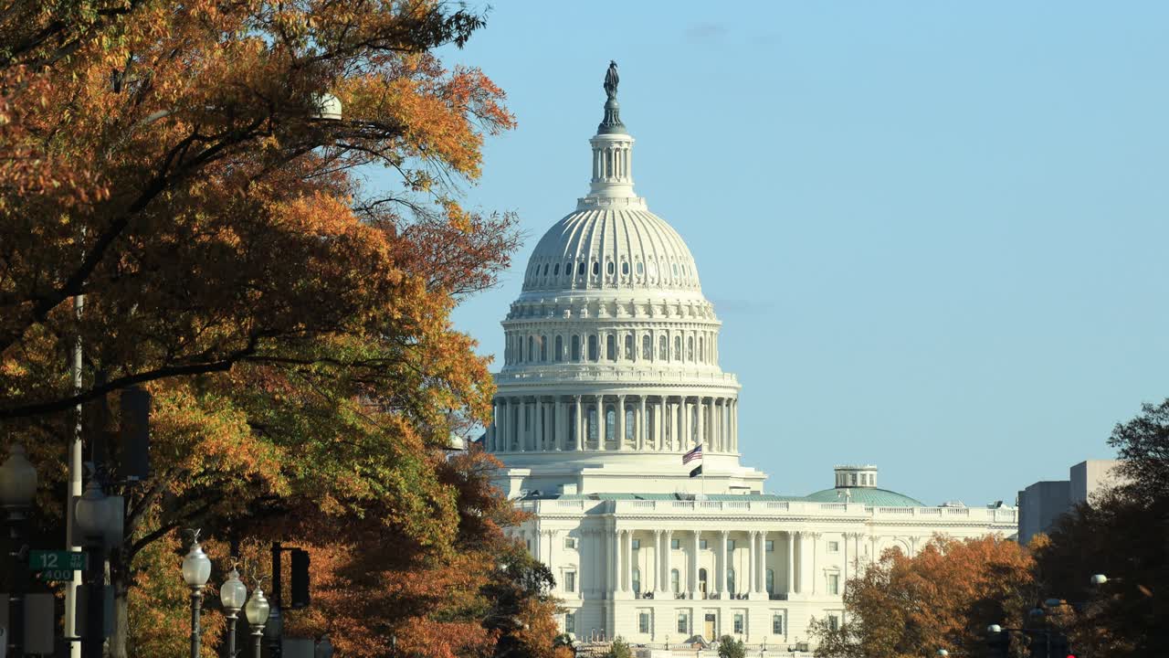 capitolio de estados unidos - edificio del capitolio con árboles de otoño en primer plano en washington, estados unidos