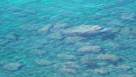 清晰的海水和珊瑚礁