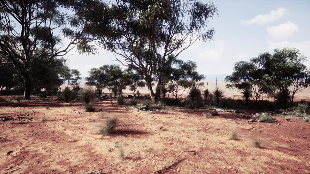 paisaje del interior de australia
