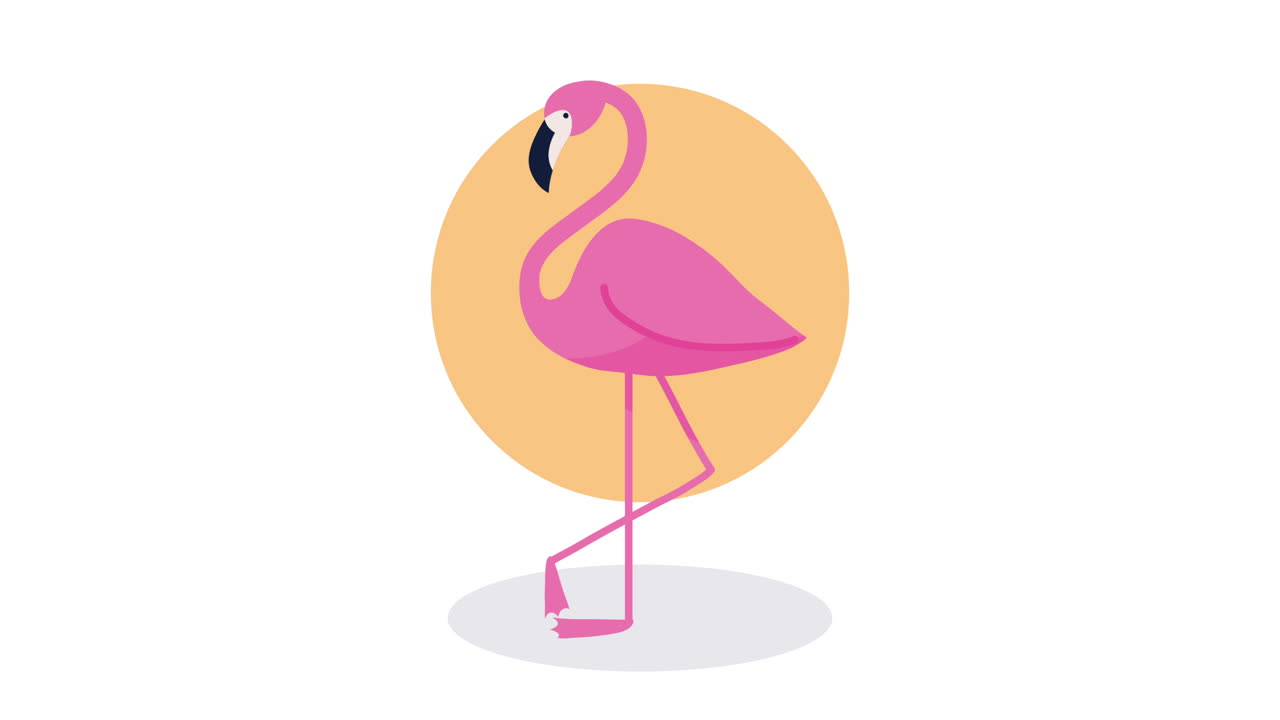 ilustración del flamenco rosado