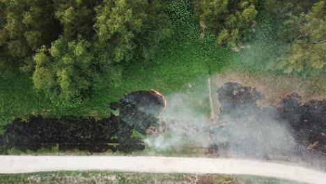 top view burning green grass in the field at malaysia, southeast asia.