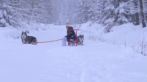 Mujer-Y-Dos-Hermosos-Perros-Husky-Sentados-En-La-Nieve-En-El-Bosque-En-Un-Día-De-Invierno-Con-Nevadas