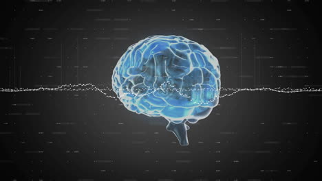 animación del cerebro giratorio sobre el procesamiento de datos