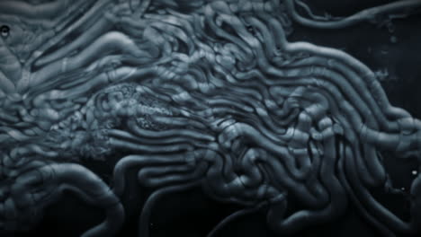 Intricate-organic-tissue-floats-in-dark-liquid,-abstract-close-up