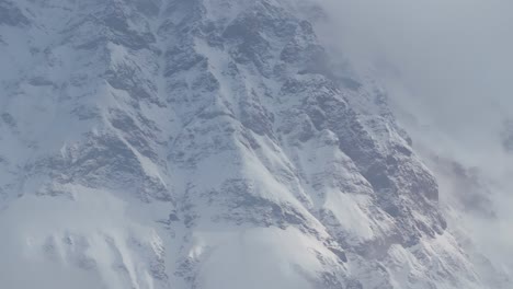 Frostbedeckte-Kiefern-Verschwinden-Im-Winternebel