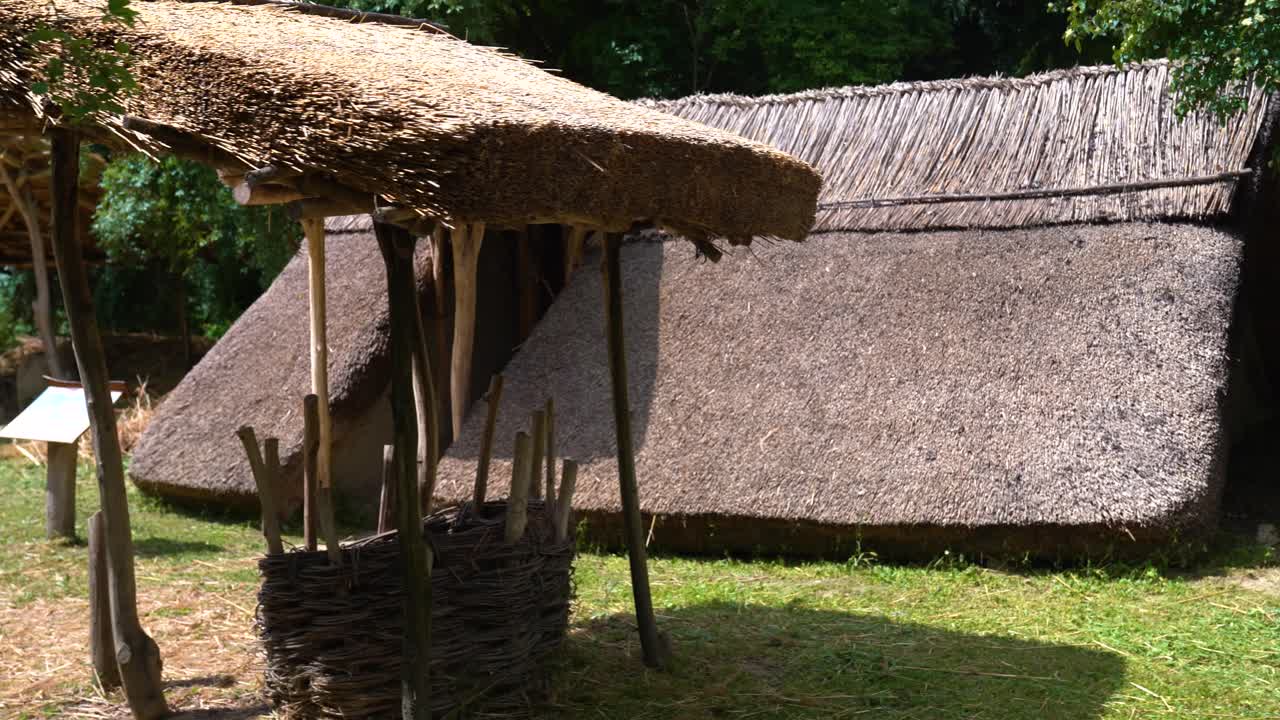 Thatched canopy and traditional house in open forest exhibit with woven fencing