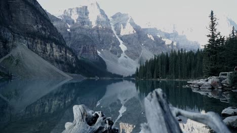 slow reveal of the stunning moraine lake surrounded by lush pine trees and the valley of the ten peaks in banff national park in alberta, canada - tilt-up shot