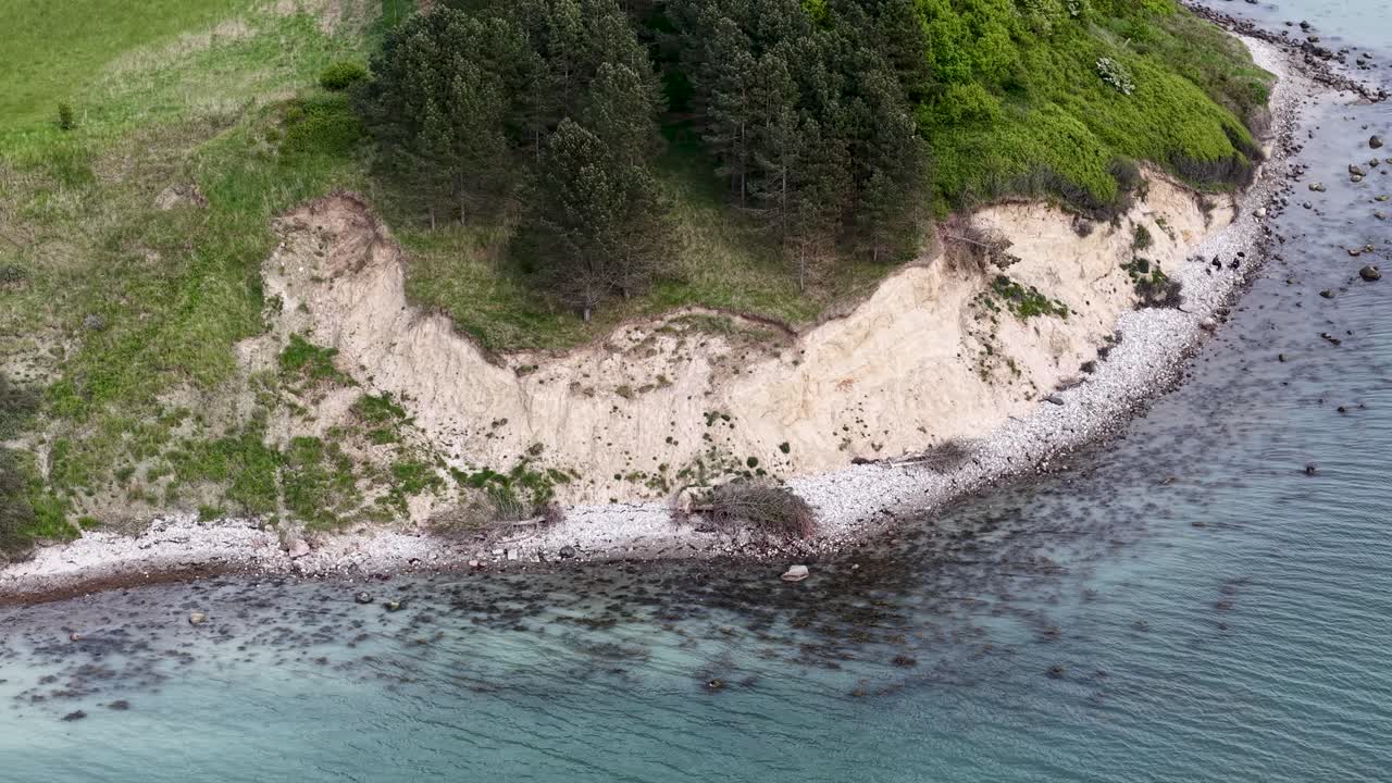 Drone footage of a rocky Danish shoreline with coastal forest, sandy beach, and shallow turquoise waters along the Baltic Sea
