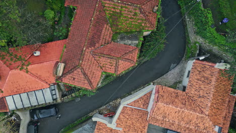 red rooftops medieval village surrounded greenery top view. cozy buildings