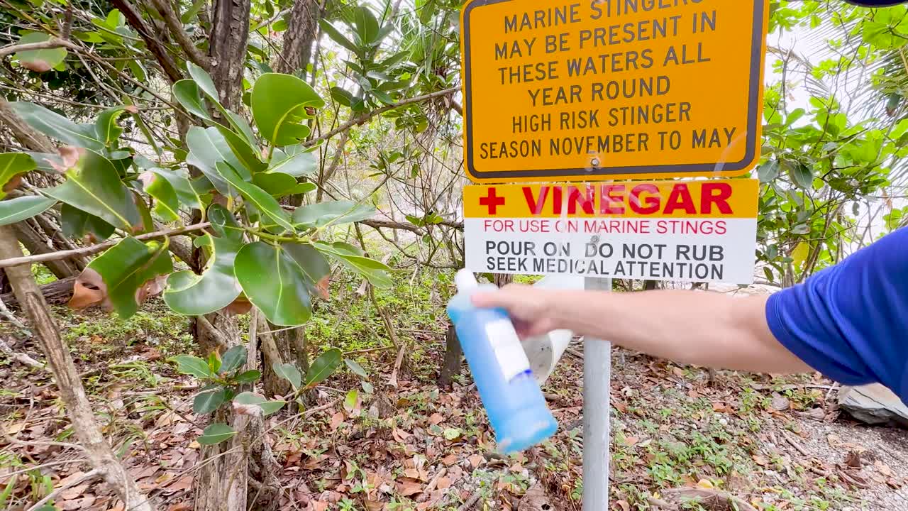 A person applies vinegar to a marine stinger warning sign in a tropical setting, emphasizing emergency treatment