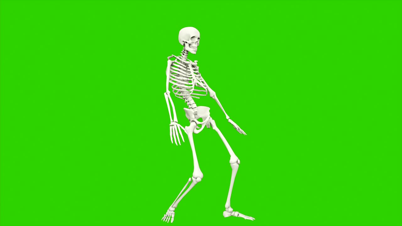 danza dello scheletro. animazione a loop senza soluzione di continuità sullo schermo verde.