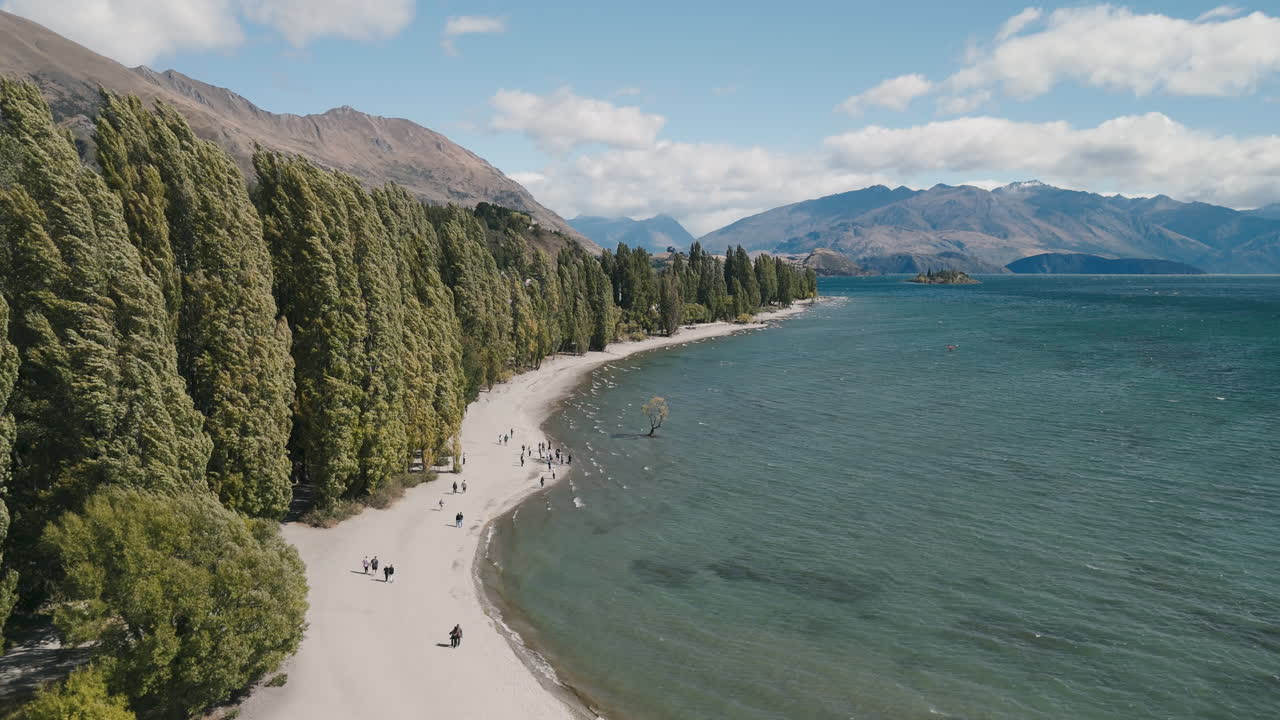 Spiaggia del Lago Wanaka con persone e alberi