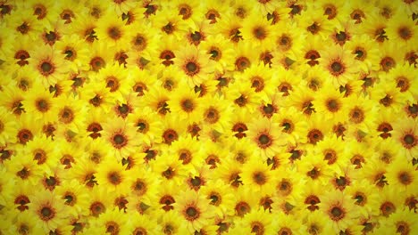 floral background