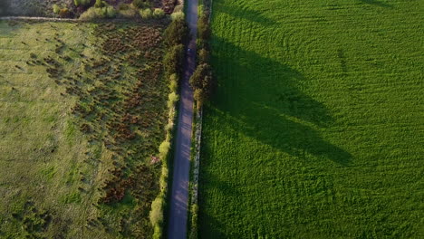 Downward-drone-shot-of-road-in-Ireland