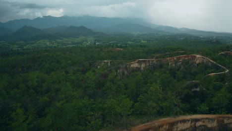 paisaje selvático aéreo