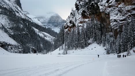 evergreen forest covered in snow and the alpine rocky mountains of canada in banff national park. wide shot