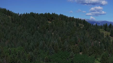 Spring-Summer-Mount-Blue-Sky-Evans-aerial-drone-parallax-Conifer-Evergreen-Colorado-snowmelt-sunny-morning-Rocky-Mountains-landscape-North-Turkey-Creek-Marshdale-Forest-Open-Space-upwards-reveal-wide