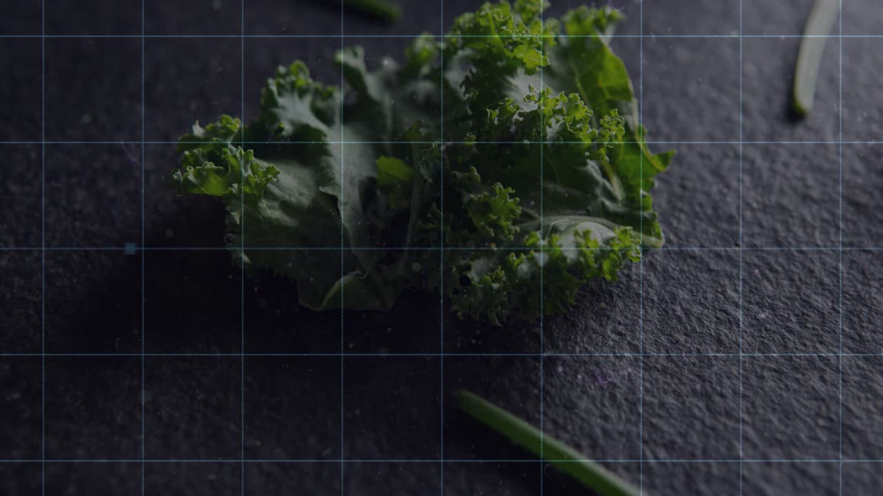 HUD appearing, scanning kale leaf with rotating ring segments and cyan streaks, inspecting texture