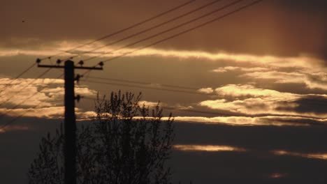 beautiful sunset with a telephone pole and lines in the foreground, static wide shot