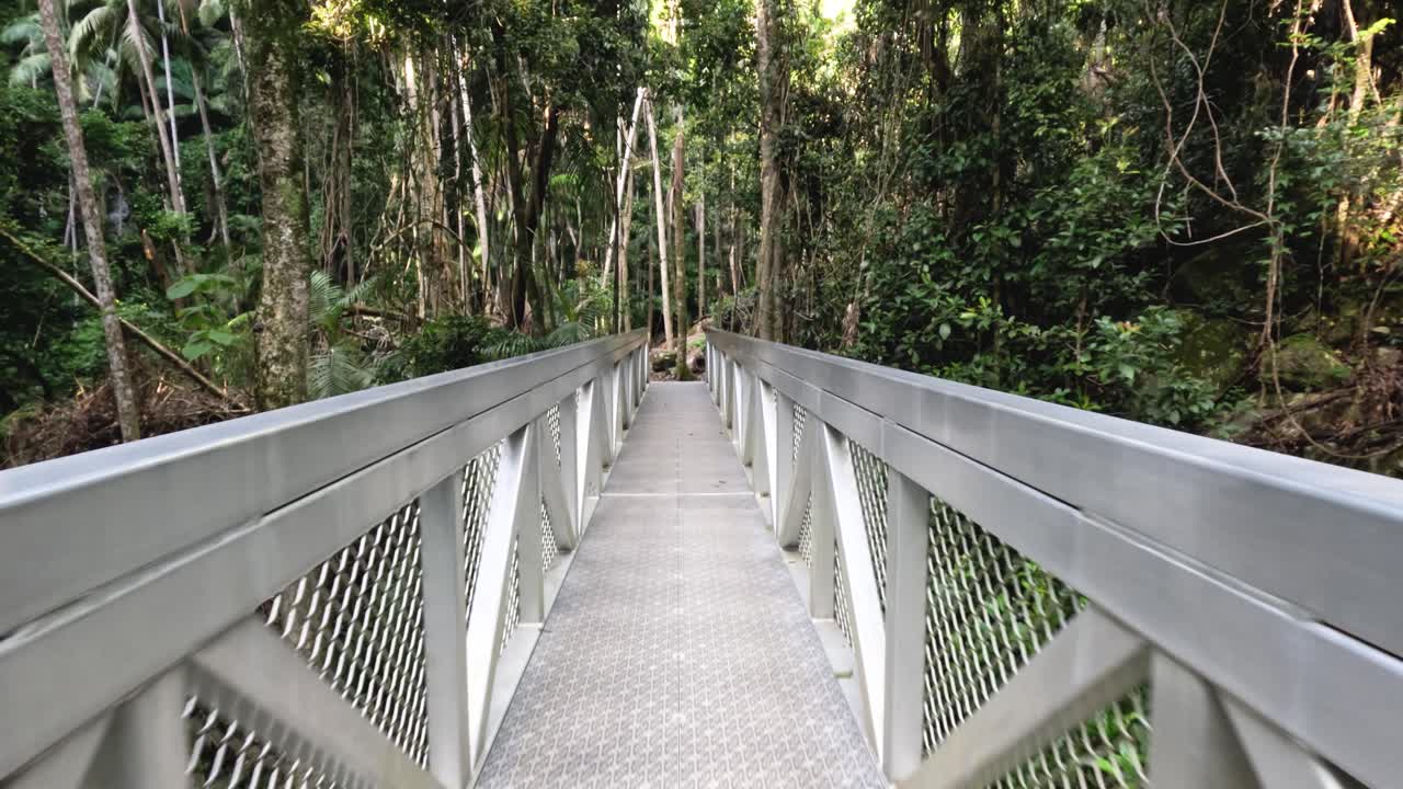 camino de puente a través de un paisaje de bosque denso