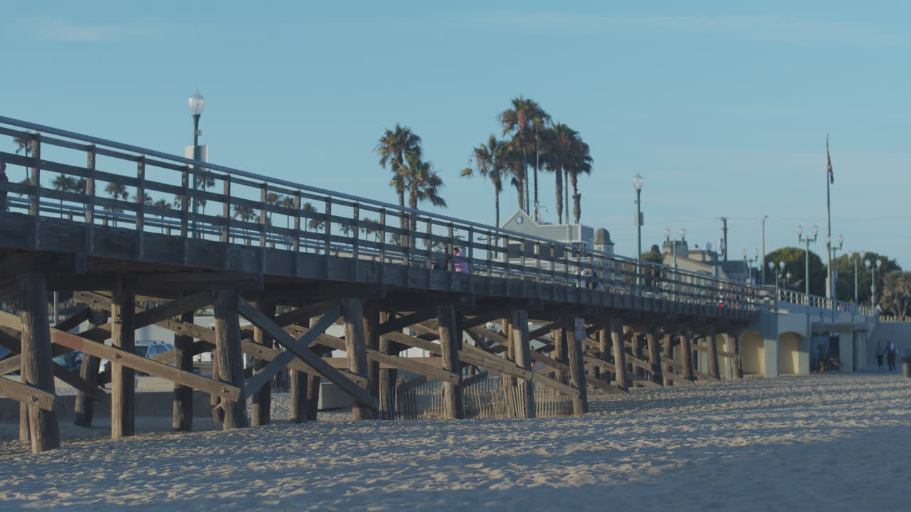 물개 해변 부두에 있는 사람들