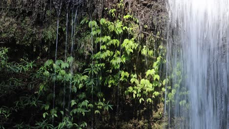 sunlight gradually illuminates a serene forest waterfall