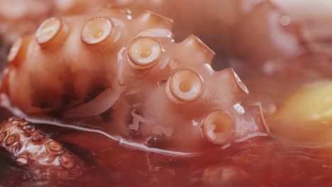 octopus cooking, chef boiling fresh octopus on restaurant kitchen, healthy food, seafood cafe in spain, traditional asian japanese spanish and mediterranean dish.