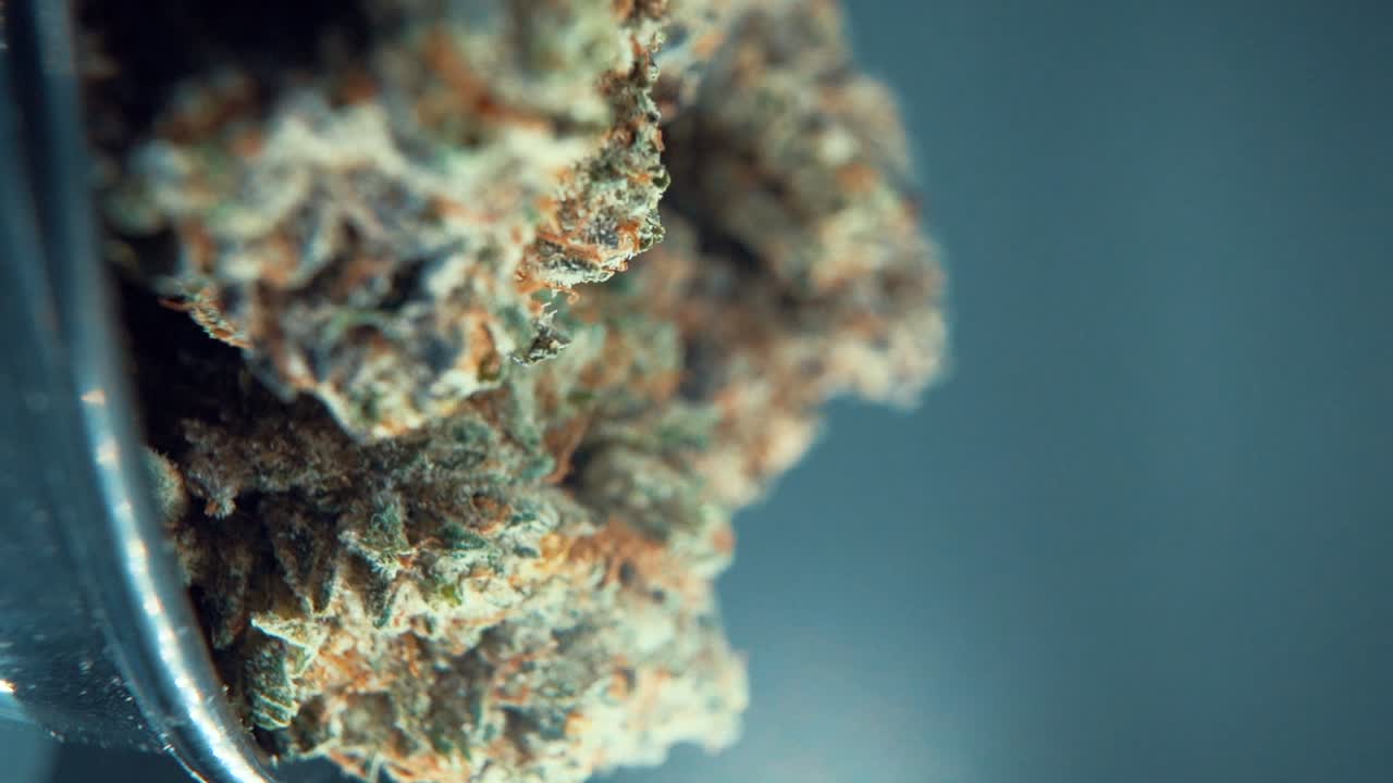 A vertical macro close up cinematic shot of a cannabis plant, marijuana flower, hybrid strains, Indica and sativa, on a 360 rotating stand in a shiny bowl, 120 fps slow motion Full HD, studio light