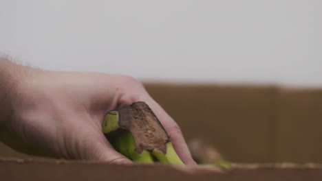 male hand picks up bananas from a cardboard box at a food bank