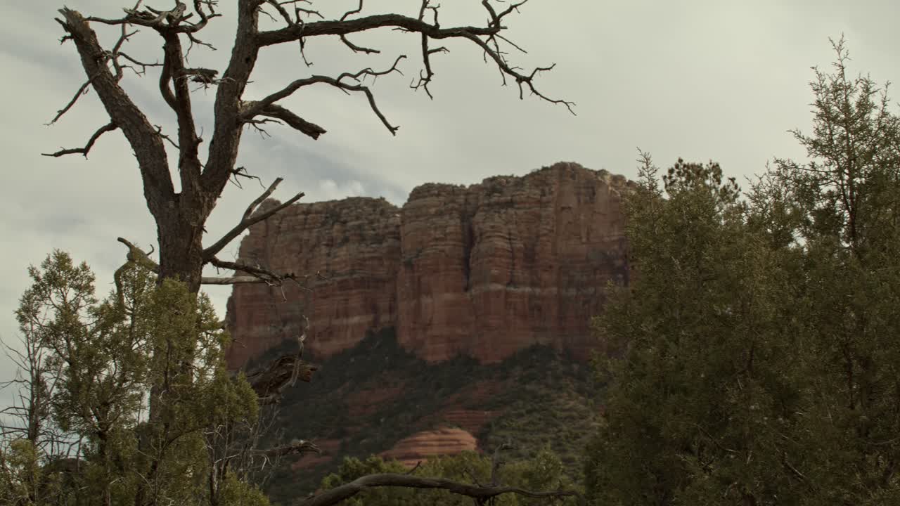 montañas de roca roja, colinas y árboles en sedona, arizona con panorámica de video de derecha a izquierda