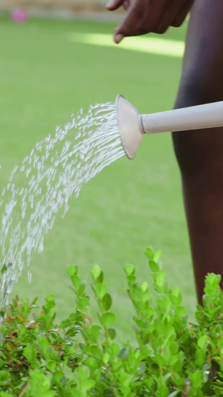 Video verticale: Al segnale, un'adolescente con maglietta rosa guida un bambino, versando da un annaffiatoio rosa per innaffiare gli arbusti del giardino.