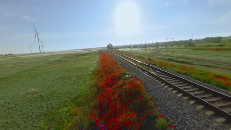 Poppy-Covered Train Tracks through a Countryside Landscape