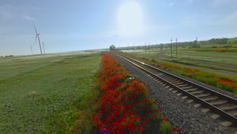 poppy-covered train tracks through a countryside landscape