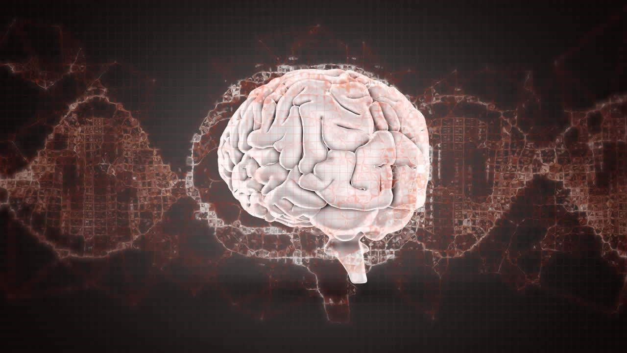 인간의 뇌에 대한 디지털 파동의 디지털 애니메이션은 검은 바탕에 대해 회전합니다.