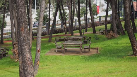 park with wooden picnic tables and benches