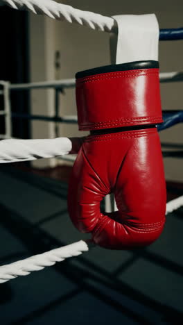 boxing gloves in the ring