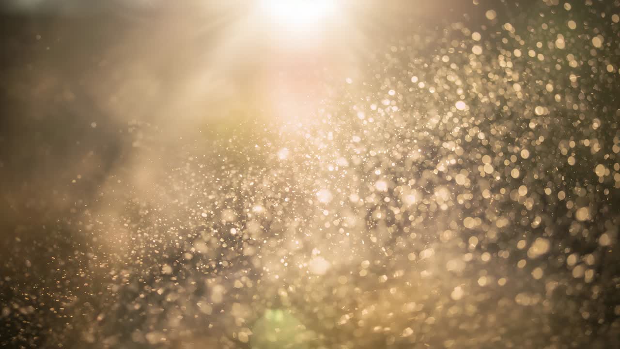 Campo scintillante di goccioline che reagisce al bagliore del sole, illuminando l'esterno al tramonto, con un bagliore verde.
